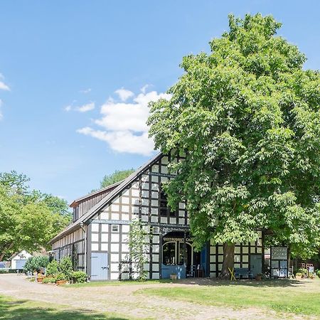 Landhotel Markthof Satemin Wustrow  Extérieur photo